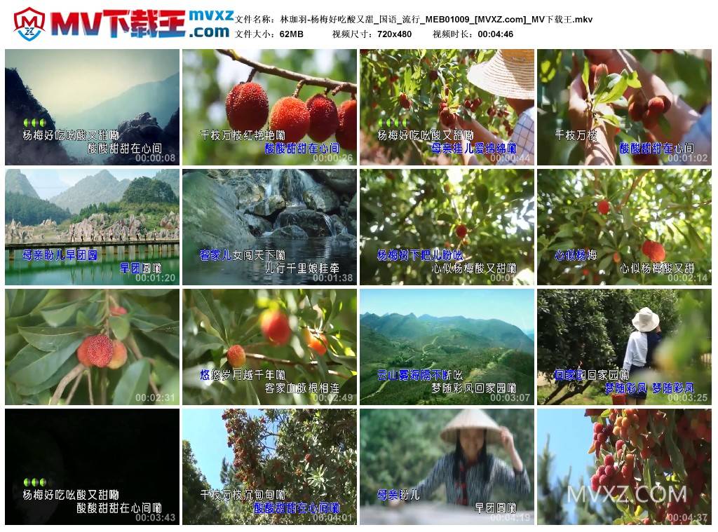 林珈羽-杨梅好吃酸又甜_国语_流行_MEB01009